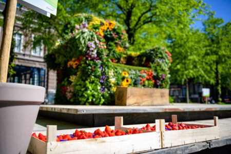 as-takeaseed-hd_007__DSC8170